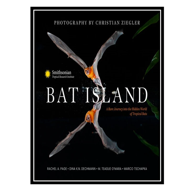 کتاب Bat Island اثر جمعی از نویسندگان انتشارات مؤلفین طلایی