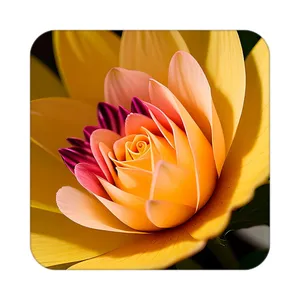 زیر لیوانی کاکتی طرح گل مدل mp16727