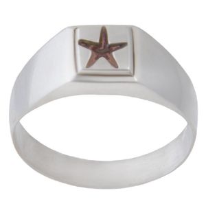 نقد و بررسی انگشتر نقره مردانه مدل حرز امام جواد کد P300 توسط خریداران