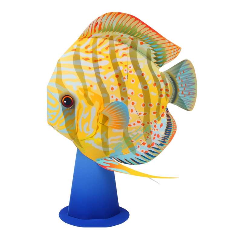 ماکت مدل ماهی کد k13