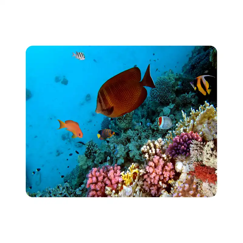 ماوس پد اطلس آبی طرح  ماهی زیر دریا مدل T6901