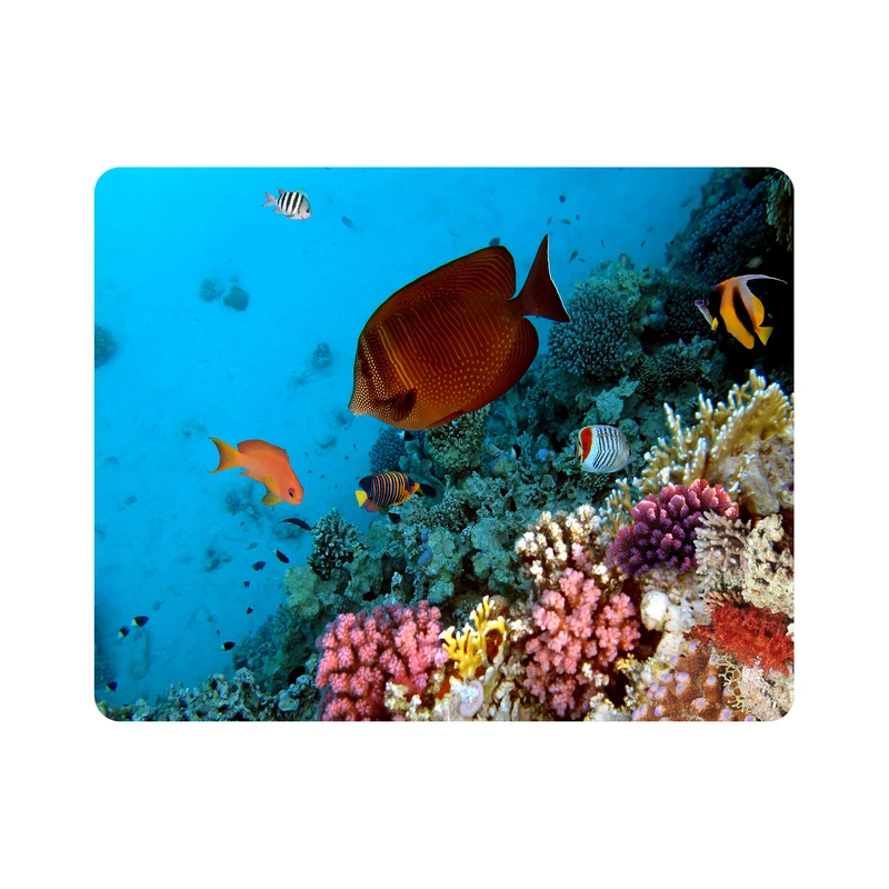 ماوس پد اطلس آبی طرح  ماهی زیر دریا مدل T6901