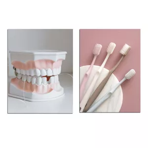 تابلو شاسی مدل دندان و دندانپزشکی کد 717 مجموعه دو عددی 