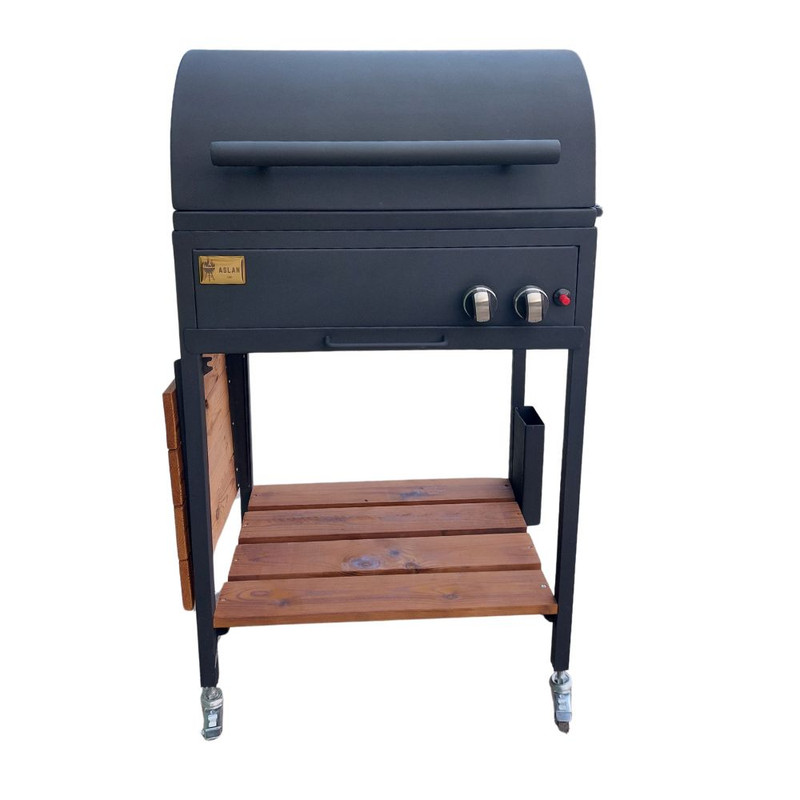 باربیکیو اصلان مدل M60