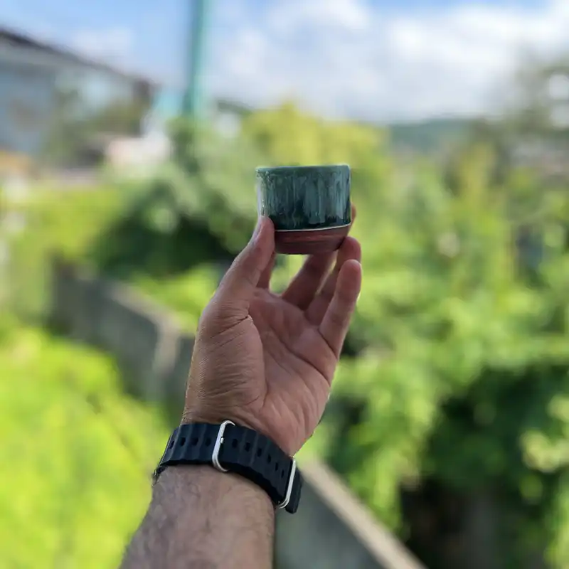 فنجان مدل جنگل