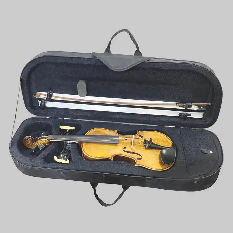 هاردکیس ویولن مدل HVMB