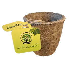 گلدان لیگنوم ویتای مدل نشا سایز 6.5 سانتی متر