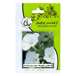 بذر لاله عباسی پا متوسط سفید آرکا بذر ایرانیان مدل C136