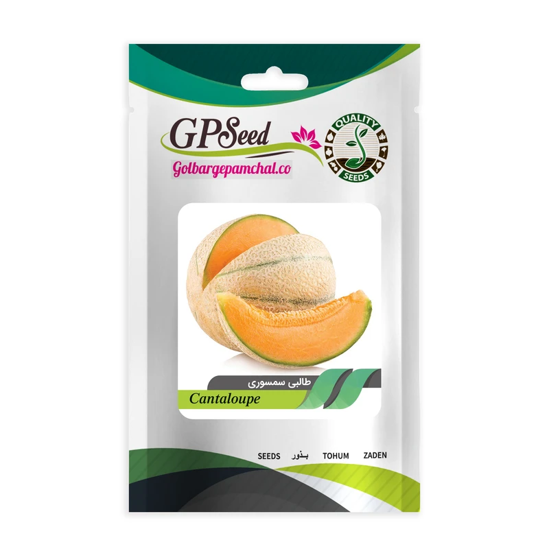 بذر میوه طالبی سمسوری گلبرگ پامچال کد GPF-119