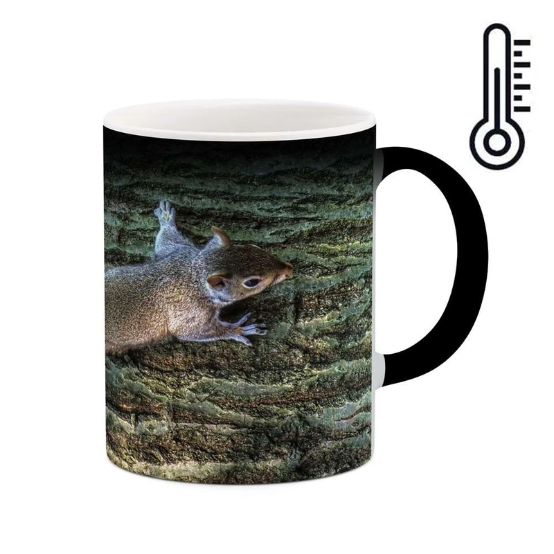 ماگ حرارتی کاکتی مدل سنجاب کد mgh10286