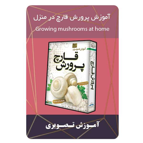 ویدئو آموزش پرورش قارچ در منزل نشر برج ویدئو آموزش پرورش قارچ در منزل نشر برج