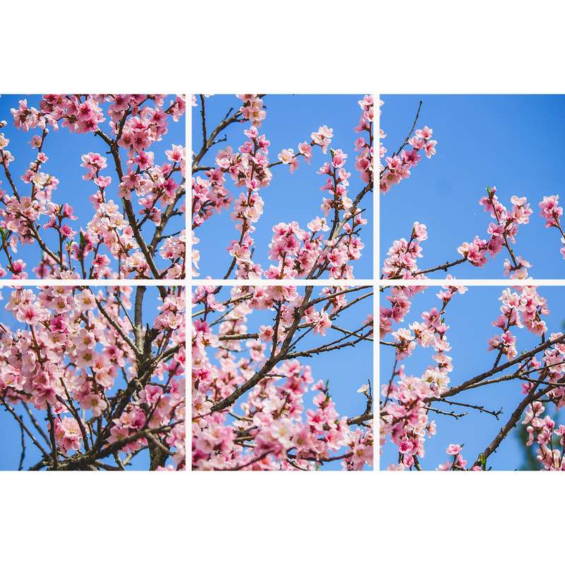 تایل سقفی آسمان مجازی مدل SK-428-2x3 سایز 60x60 مجموعه شش عددی