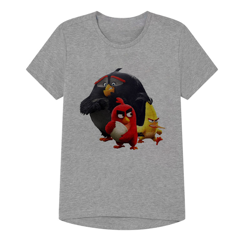 تی شرت آستین کوتاه پسرانه مدل پرندگان خشم گین کد SH22 رنگ طوسی