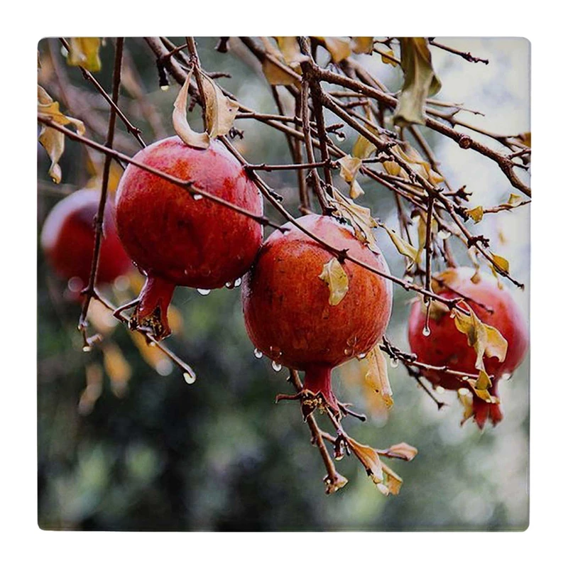 زیر لیوانی  طرح شاخه های انار کد    4818840_3658