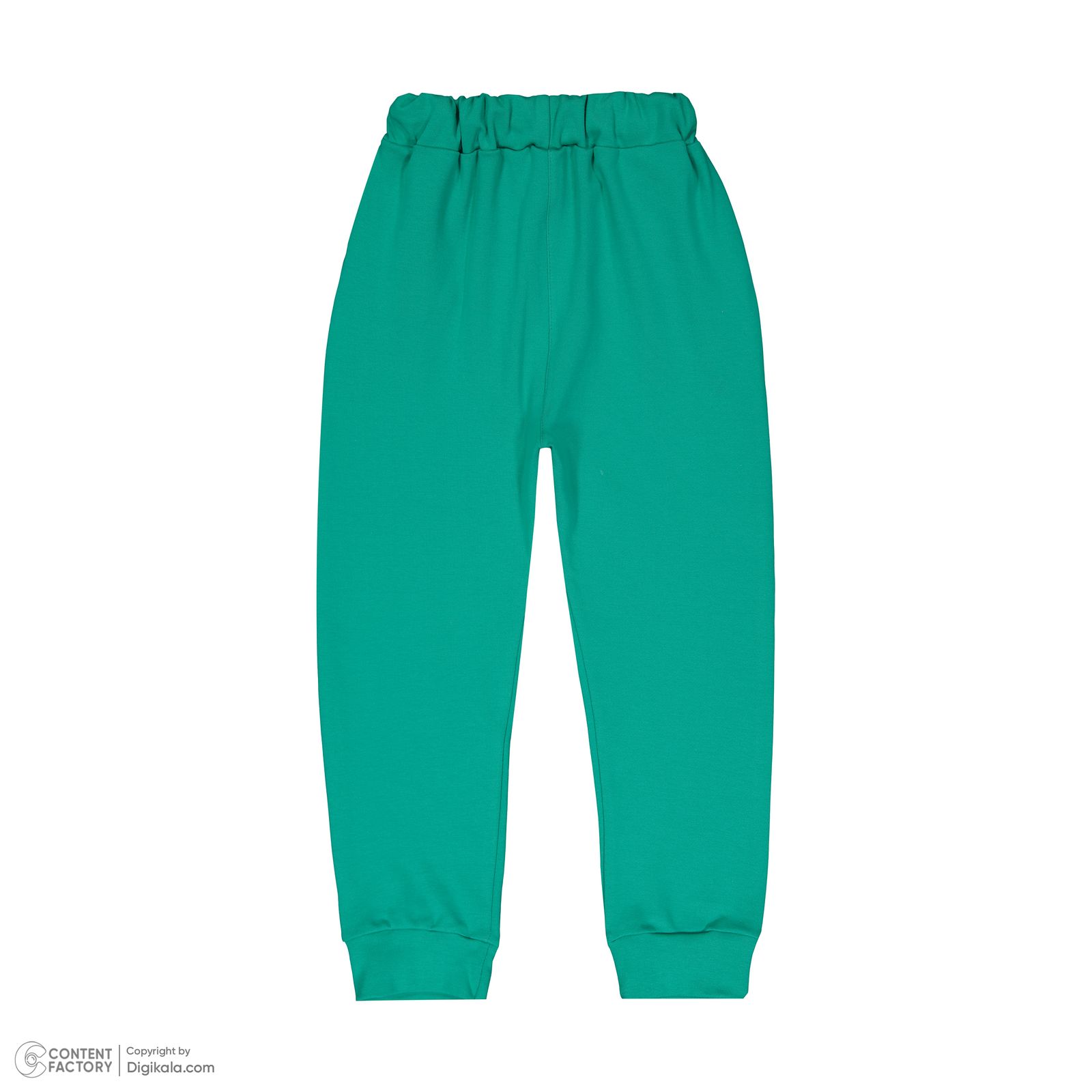 ست تیشرت آستین بلند و شلوار بچگانه مونسا مدل 042 رنگ سبز  -  - 4