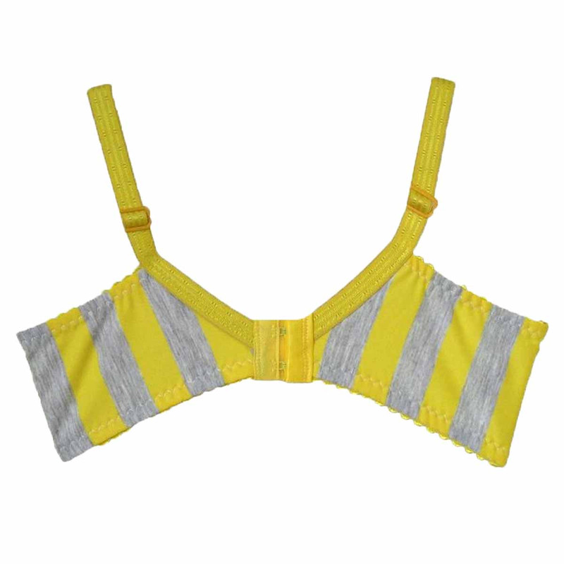 سوتین زنانه مدل زبرا کد Oid-StW0000012353 مجموعه 2 عددی