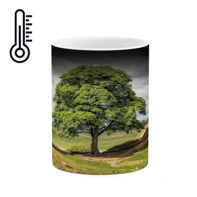 ماگ حرارتی کاکتی مدل منظره کد mgh13142