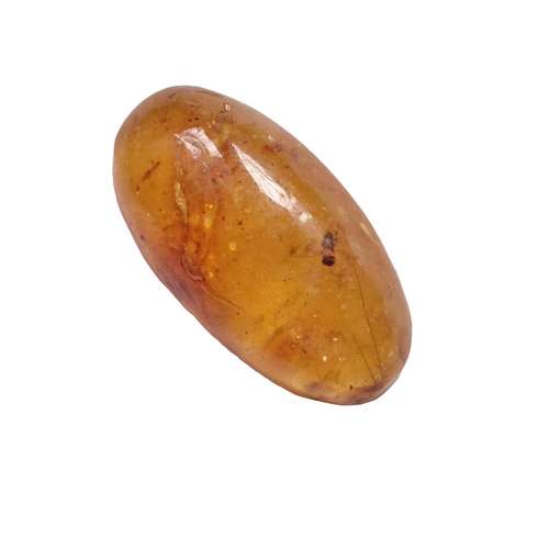 سنگ کهربا مدل حشره دار بالتیک طبیعی کد 03