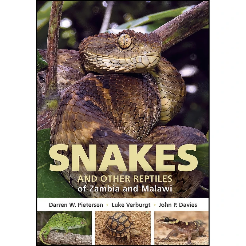 کتاب Field Guide to Snakes and other Reptiles of Zambia and Malawi  اثر جمعي از نويسندگان انتشارات Penguin Random House South Africa