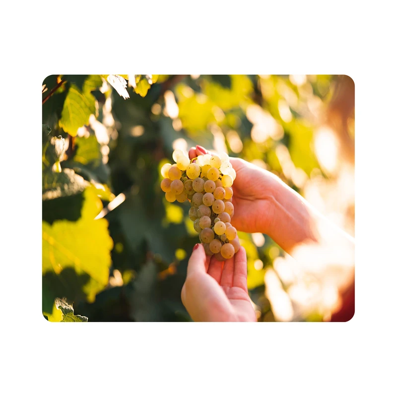 ماوس پد اطلس آبی طرح درخت و خوشه انگور مدل T1939