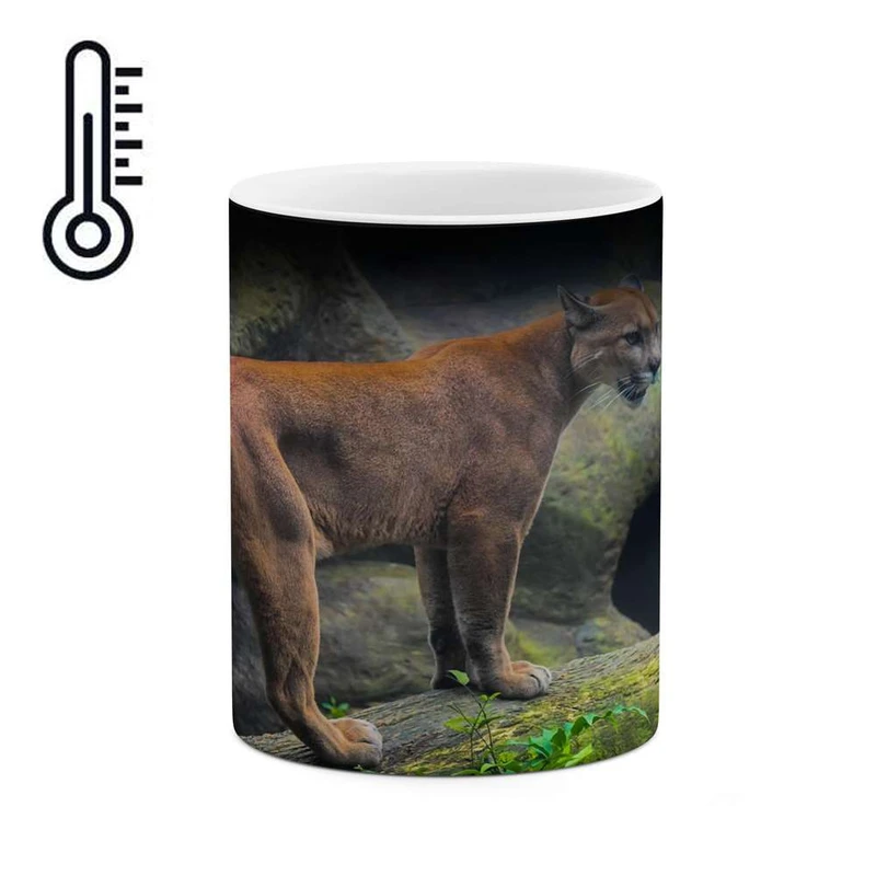 ماگ حرارتی کاکتی مدل سیاه گوش کد mgh14665