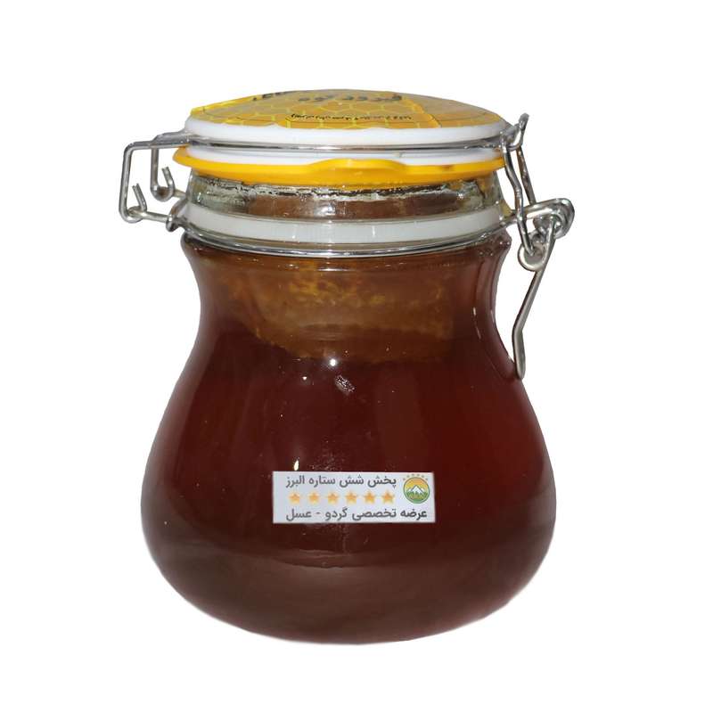 عسل با موم چهل گیاه ویژه شش ستاره البرز - 1200 گرم