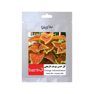 بذر گل حسن یوسف نارنجی بذرینو کد BZNO-103