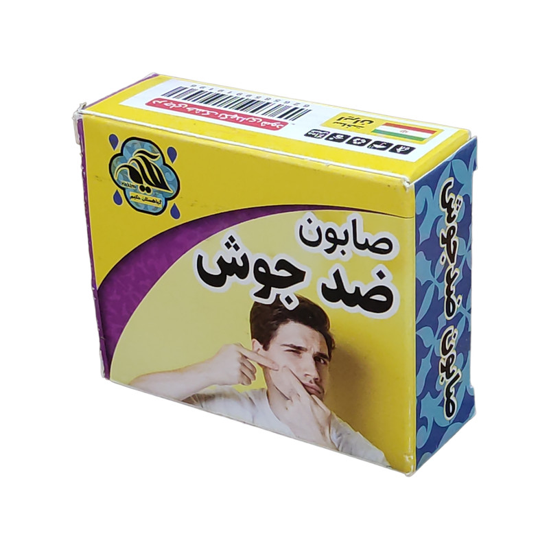 صابون شستشو گیاهستان حکیم مدل ضد جوش وزن 70 گرم صابون شستشو گیاهستان حکیم مدل ضد جوش وزن 70 گرم