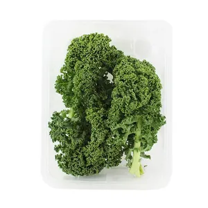 کلم کیل درجه یک - 85 گرم