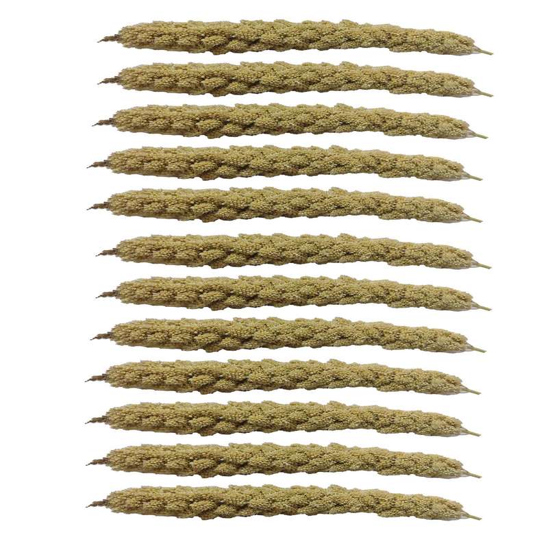 غذای پرنده مدل ارزن خوشه ای بسته 12 عددی