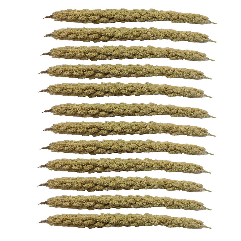 غذای پرنده مدل ارزن خوشه ای بسته 12 عددی