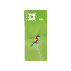 MAHOOT European bee-eater Cover Sticker for Xiaomi Mix Fold 3