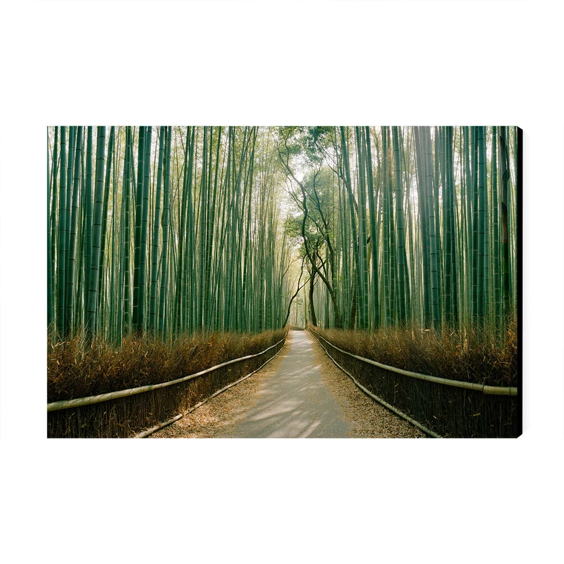 تابلو شاسی عرش طرح گردشگری ژاپن مدل جنگل بامبو آراشیاما کد As6130