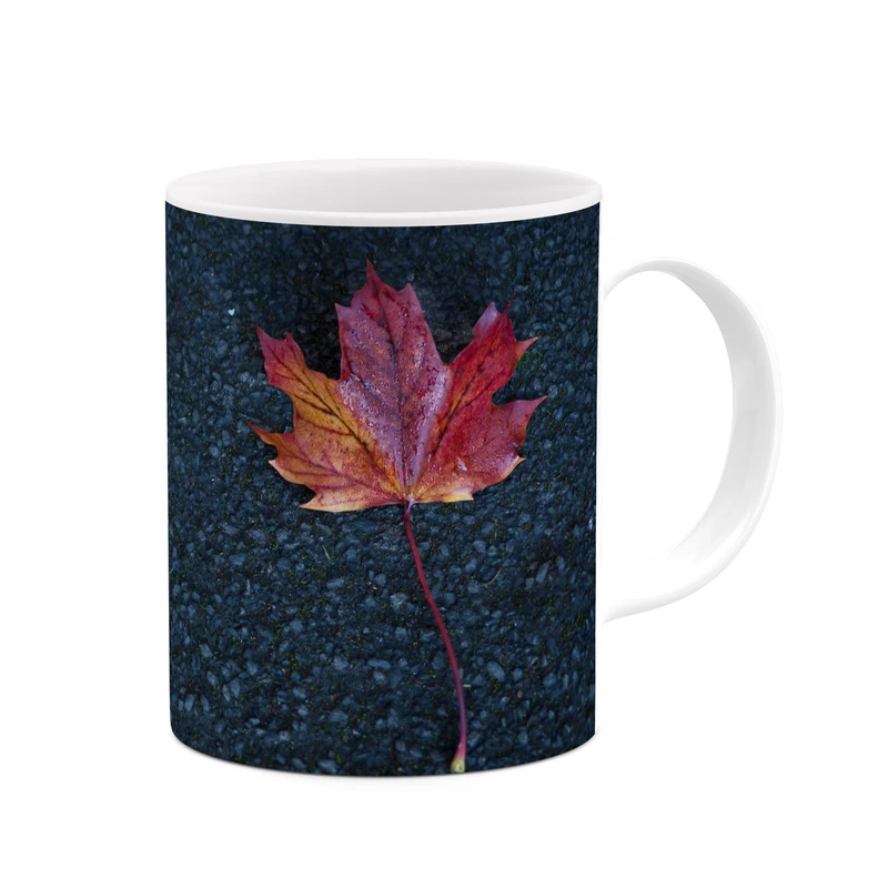 ماگ کاکتی طرح برگ کد mgp11226