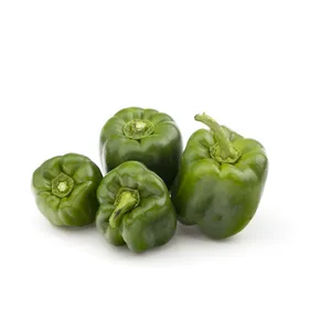 فلفل دلمه سبز Fresh مقدار 500 گرم