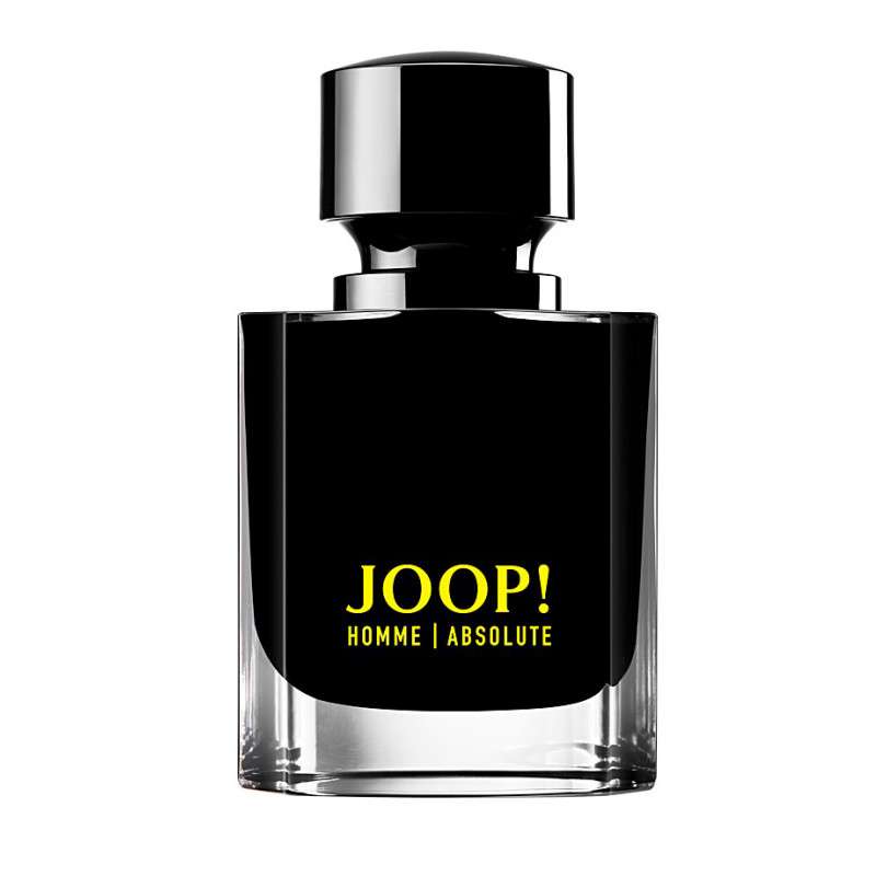 ادو پرفیوم مردانه ژوپ مدل Homme Absolute حجم 120 میلی لیتر