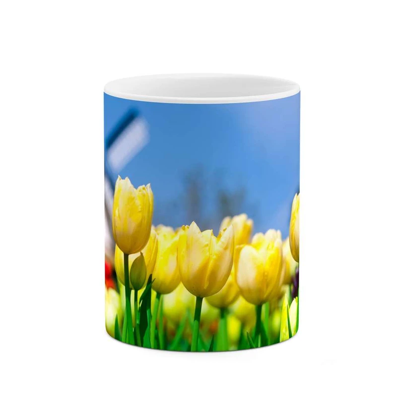 ماگ کاکتی مدل گل کد mgh12065