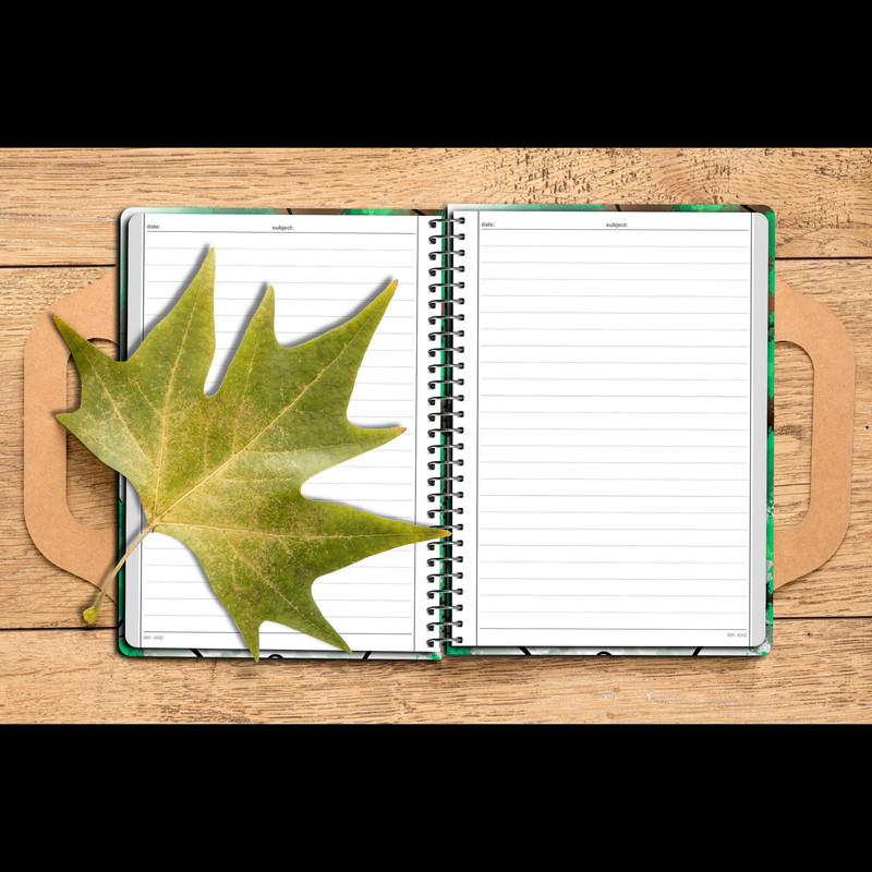 دفتر مشق مستر راد مدل خرس های کله فندقی طرح تحصیلی کد fiory 2145