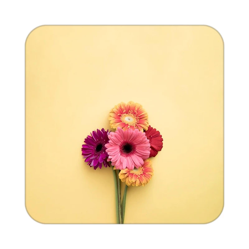 زیر لیوانی کاکتی طرح گل مدل mp16513