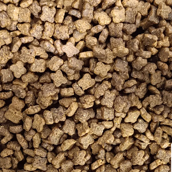 غذا خشک گربه نابالغ تیستی مدل کیتن فله طعم مرغ و ماهی وزن 1500 گرم