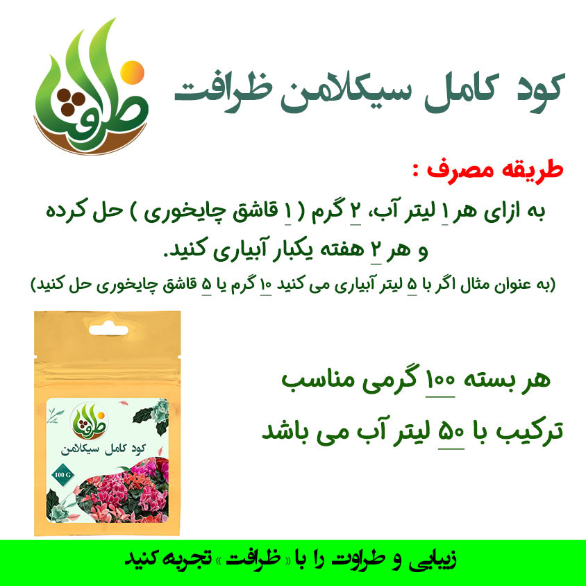 کود کامل سیکلامن ظرافت مدل KO21241 وزن 100 گرم