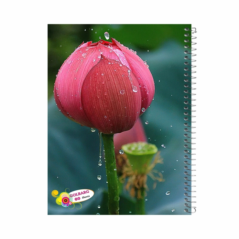 دفتر مشق 60 برگ گلبرگ طرح گل لاله کد 601723