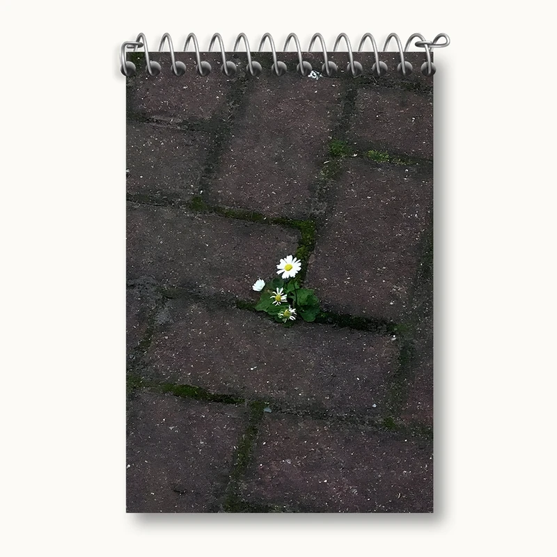 دفتر یادداشت 50 برگ خندالو مدل گل کد F1371