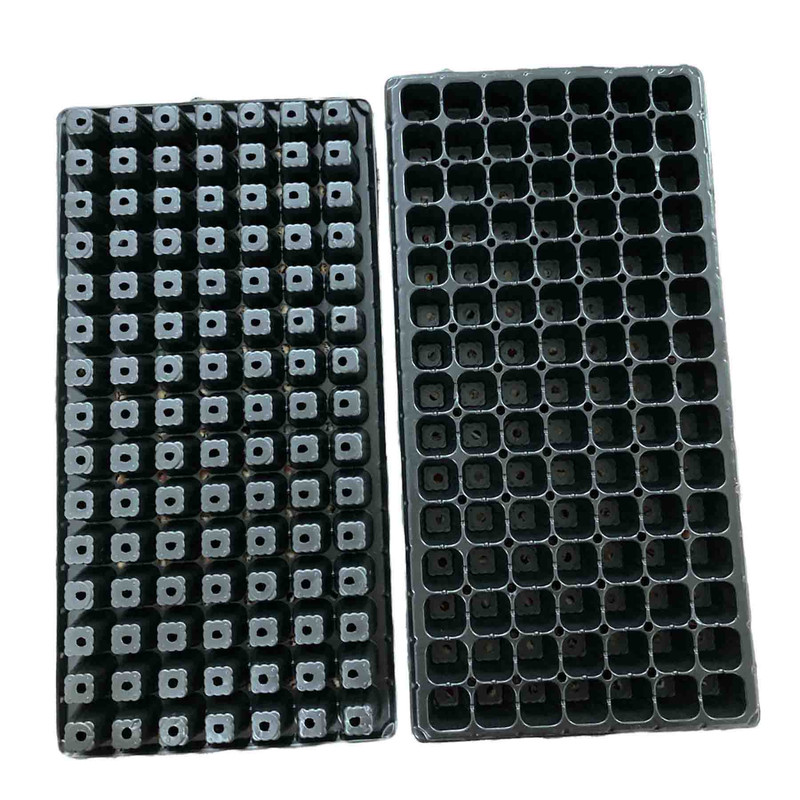 سینی نشا مدل 105 حفره کد HQ105 بسته 10 عددی