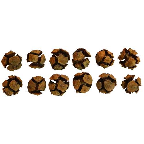 میوه تزیینی طرح کاج مدل C1 بسته 12 عددی