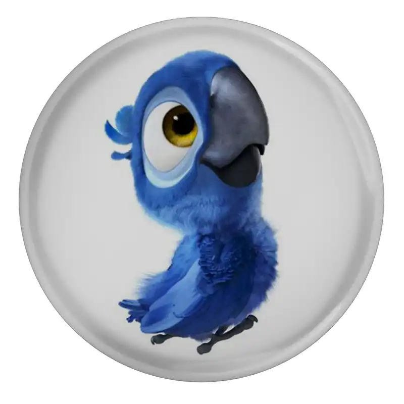 مگنت مدل S13100 طرح کارتون ریو