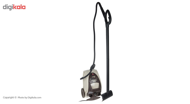 بخار شوی دلونگی مدل SC100