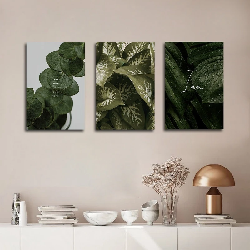 تابلو شاسی بکلیت طرح دیفن باخیا و برگ سبز مدل SH-2764 مجموعه 3 عددی