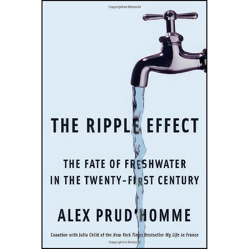 کتاب The Ripple Effect اثر جمعي از نويسندگان انتشارات Scribner