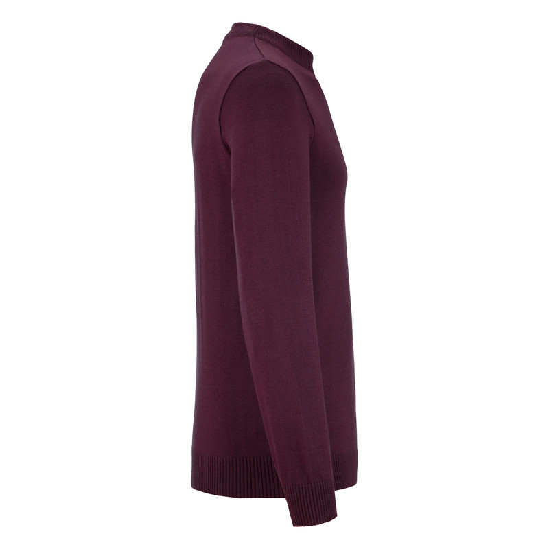 پلیور مردانه مدل 2278ZR